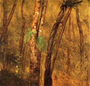 Plant Study, Jamaica, West Indies